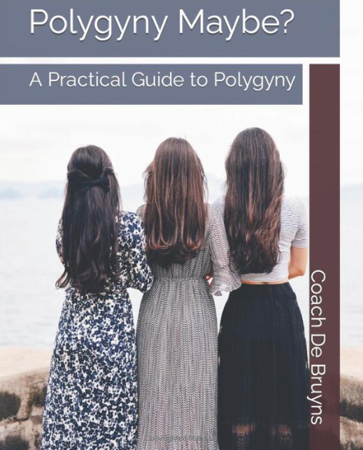 Polygyny Maybe? A Practical Guide to Polygyny Audio Book